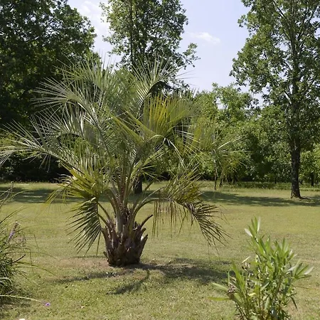 Scenic With Swimming Pool * Combe-Moliere