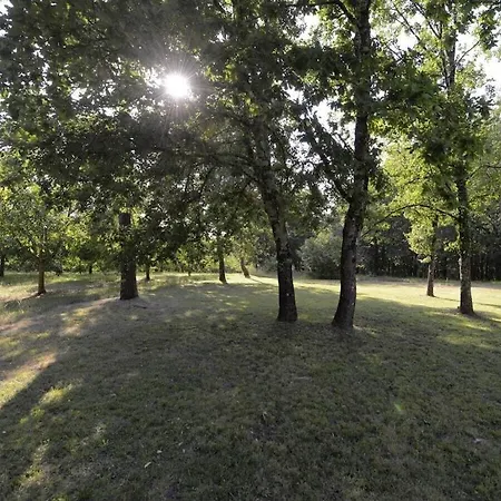 Vila Scenic With Swimming Pool