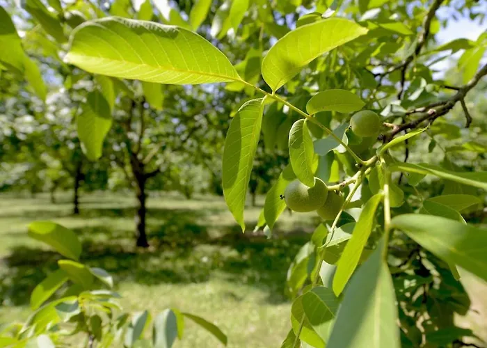 Villa Scenic With Swimming Pool